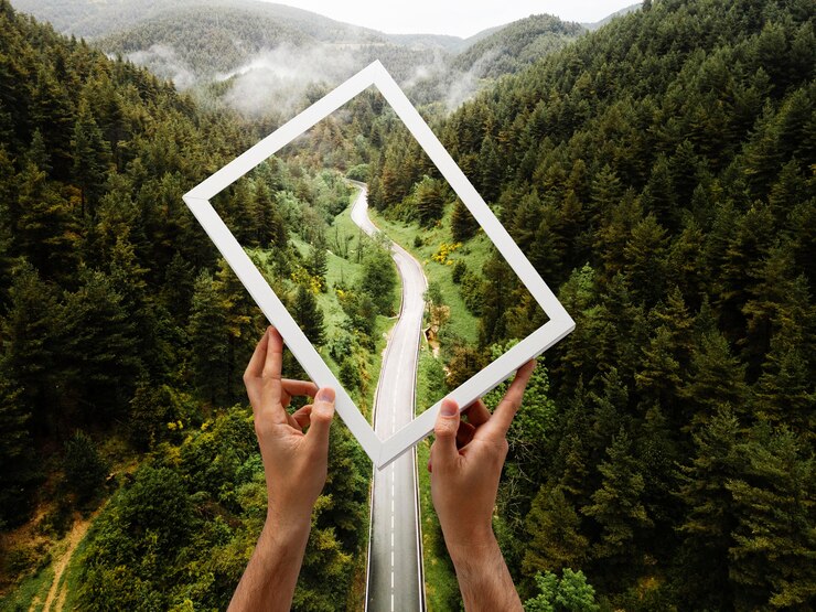 Acasă 27 Strategii pentru reducerea impactului asupra mediului în proiectele rutiere